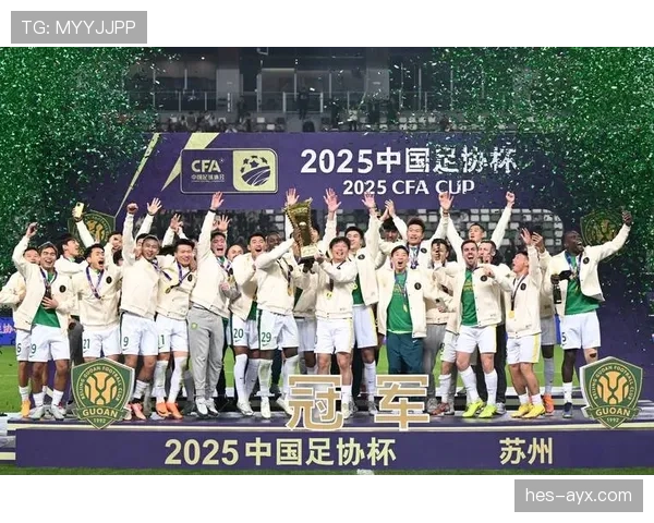 北京国安足协杯