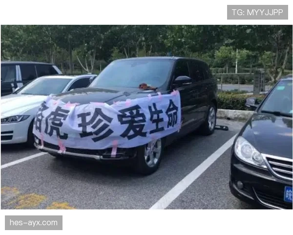 勒布朗冻龄也藏不住了，豪车背后这生活细节真没谁撑得住